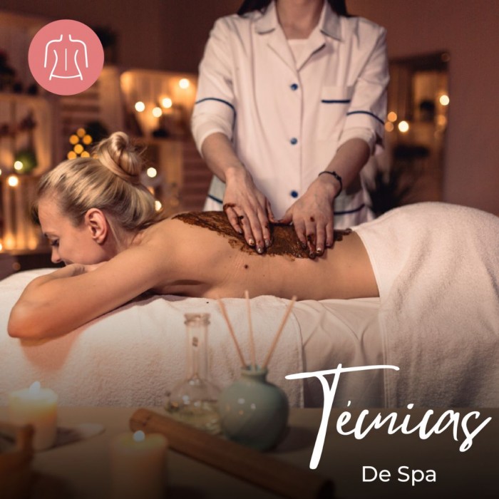 Curso de Técnicas de Spa. Alta Capacitación Profesional