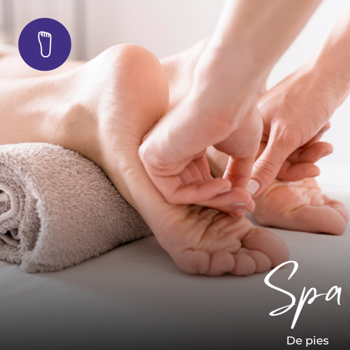 Curso de Spa de pies. Alta Capacitación Profesional