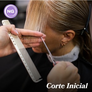 Corte Inicial. Estudiá en Alta Capacitación Profesional
