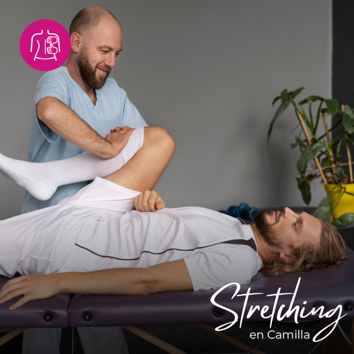 Curso de Stretching en Camilla. Alta Capacitación Profesional