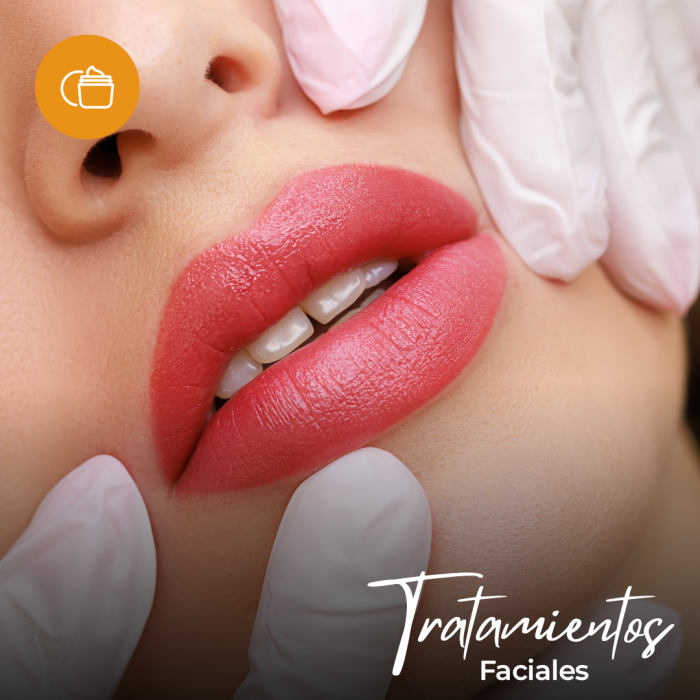 Curso de Tratamientos Faciales Rejuvenecedores. Alta Capacitación Profesional