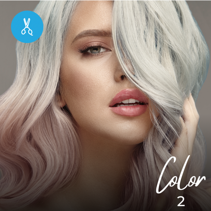 Curso de Color 2. Alta Capacitación Profesional