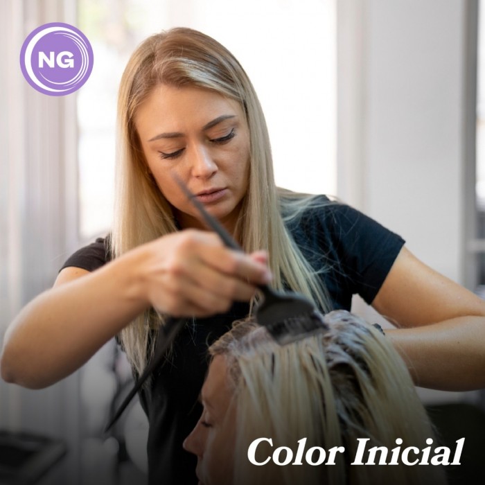 Curso de Color inicial. Alta Capacitación Profesional