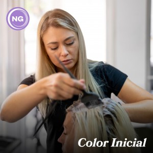 Color inicial. Estudiá en Alta Capacitación Profesional